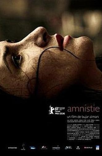 Amnesty (2012)