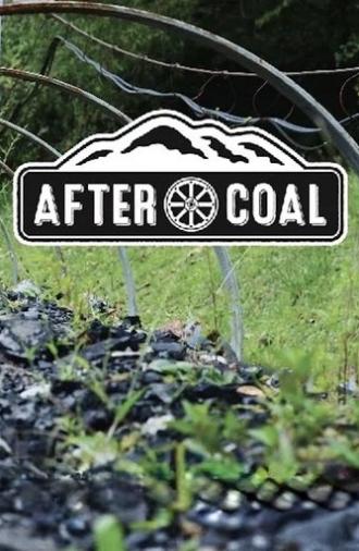 After Coal: Welsh and Appalachian Mining Communities (2016)