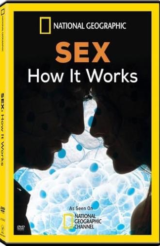 Sex: How It Works (2013)