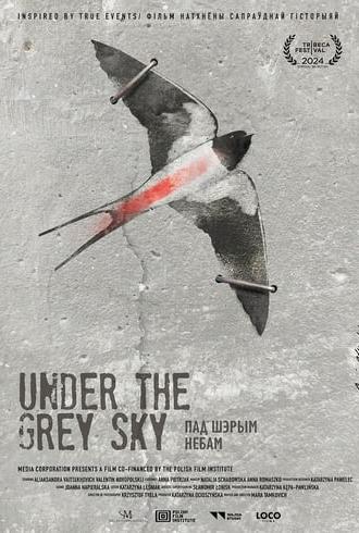 Under the Grey Sky (2024)