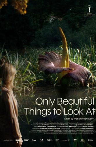 Only Beautiful Things to Look At (2026)