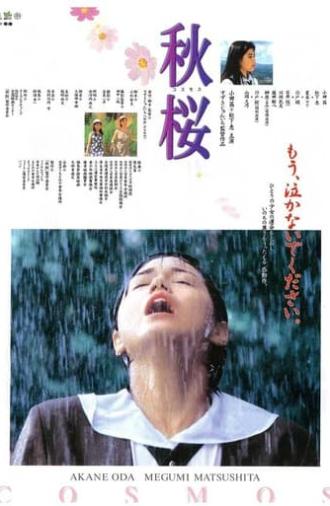 Remembering the Cosmos Flower (1997)