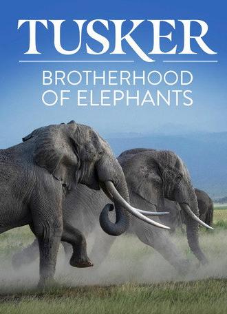 Tusker: Brotherhood of Elephants (2026)