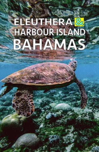 Eleuthera & Harbour Island: Bahamas (2021)