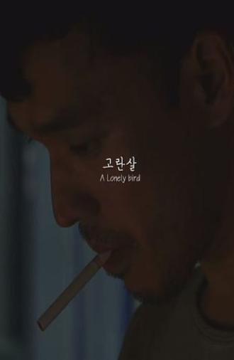 A Lonely bird (2015)