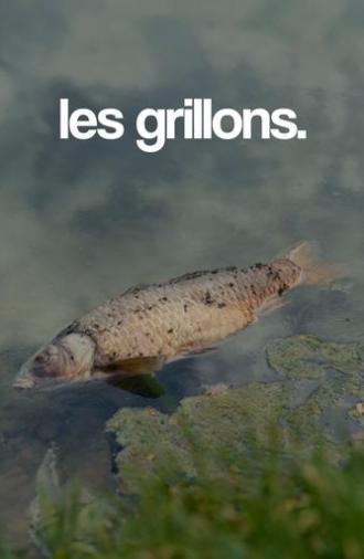 les grillons. (2025)
