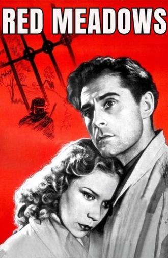 Red Meadows (1945)