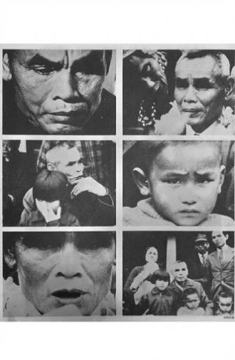 Archive / Li Guang-hui (1979)