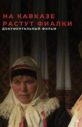 Violets Blossom in the Caucasus (2010)