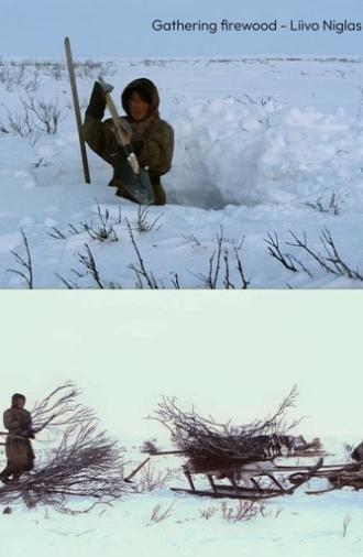 Gathering Firewood (2024)