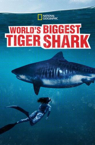 World's Biggest Tiger Shark (2020)