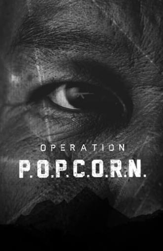 Operation Popcorn (2015)