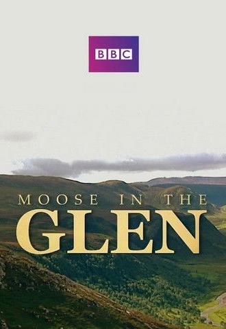 Moose in the Glen (2008)