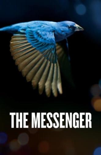 The Messenger (2015)