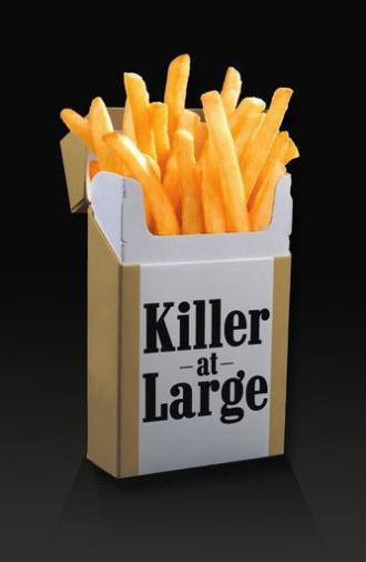 Killer at Large (2008)