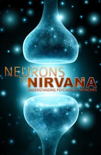 Neurons to Nirvana (2013)