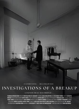 Investigations of a Breakup (2025)