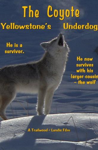 The Coyote: Yellowstone's Underdog (2021)