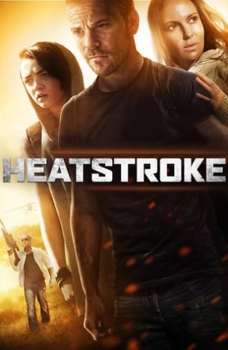 Heatstroke (2013)