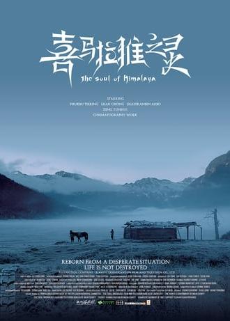 The Soul of Himalaya (2017)