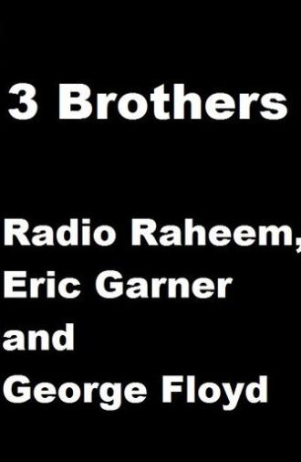 3 Brothers: Radio Raheem, Eric Garner and George Floyd (2020)