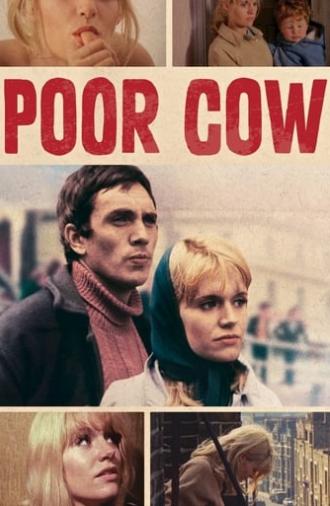 Poor Cow (1967)