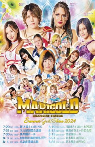 Marigold Summer Gold Shine 2024 ~ Day 9 (2024)