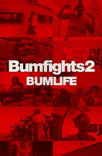 Bumfights Vol. 2: Bumlife (2003)