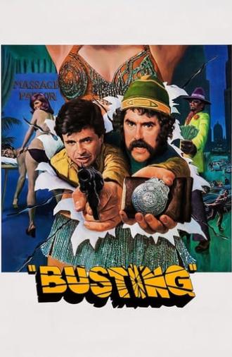 Busting (1974)