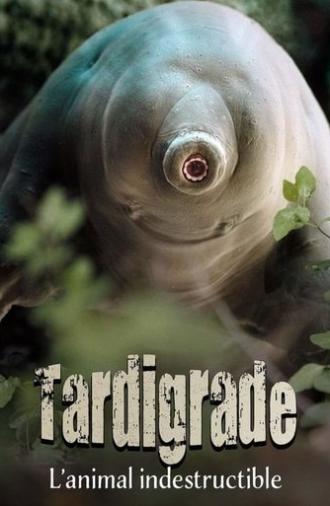 Tardigrade, l'animal indestructible (2025)