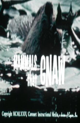 Mammals That Gnaw (1974)