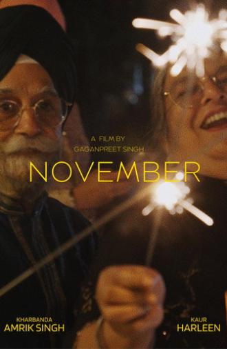 November (2026)