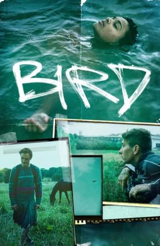 Bird (2024)