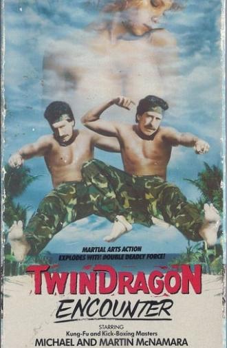 Twin Dragon Encounter (1986)