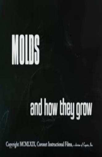 Molds and How They Grow (1969)