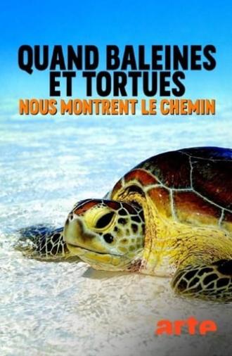 Quand baleines et tortues nous montrent le chemin (2020)