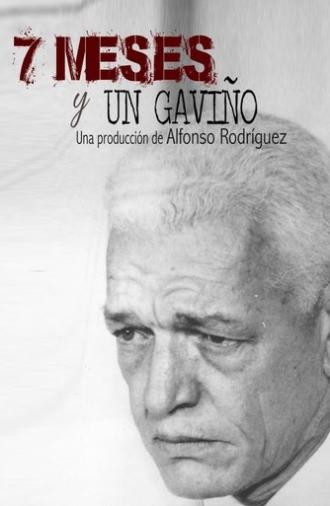7 meses y un Gaviño (2020)