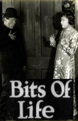 Bits of Life (1921)