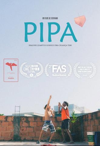 PIPA (2025)