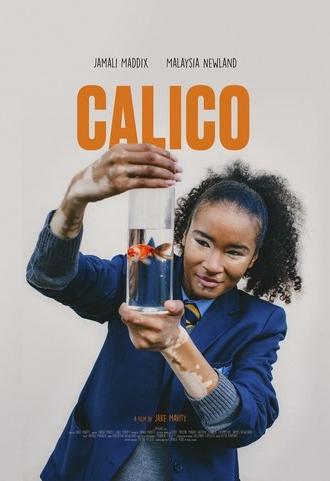 CALICO (2025)