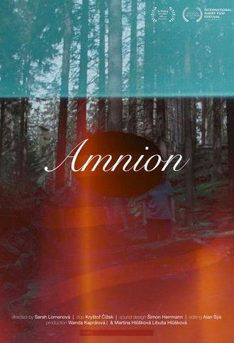 Amnion (2025)