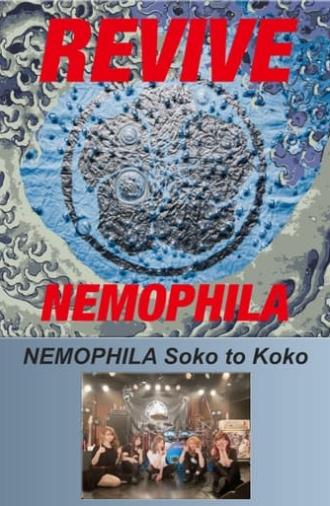 NEMOPHILA Soko to Koko (2021)