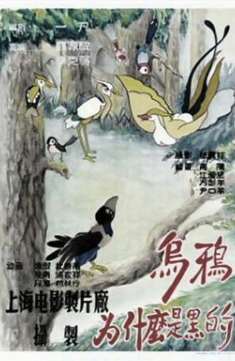 Why is the Crow Black-Coated (1955)
