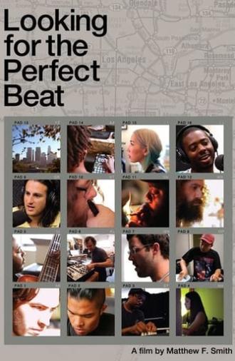 Looking for the Perfect Beat (2014)