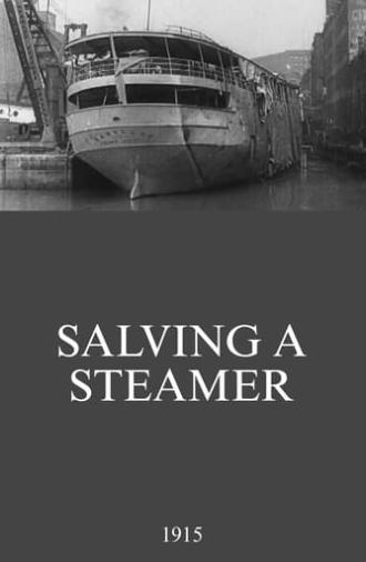 Salving a Steamer (1915)