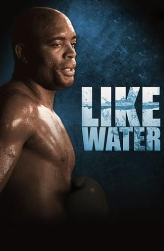 Anderson Silva: Like Water (2011)