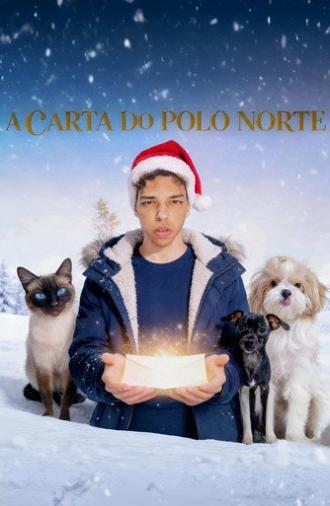 A Carta do Polo Norte (2025)