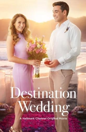 Destination Wedding (2017)