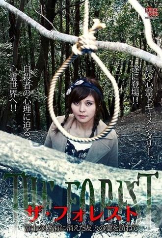 The Forest: Visiting the Spirit of a Friend Who Disappeared in the Aokigahara Forest (2016)