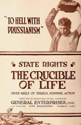 The Crucible of Life (1918)